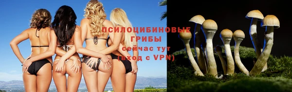 кристаллы Горняк