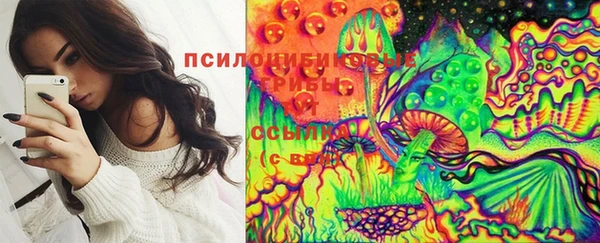 кристаллы Горняк