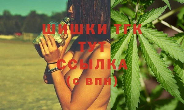 МДПВ Горно-Алтайск