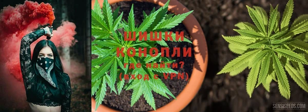 МДПВ Горно-Алтайск