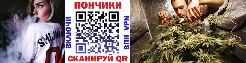 гидра ссылка  Чухлома  Конопля сатива  цены наркотик 
